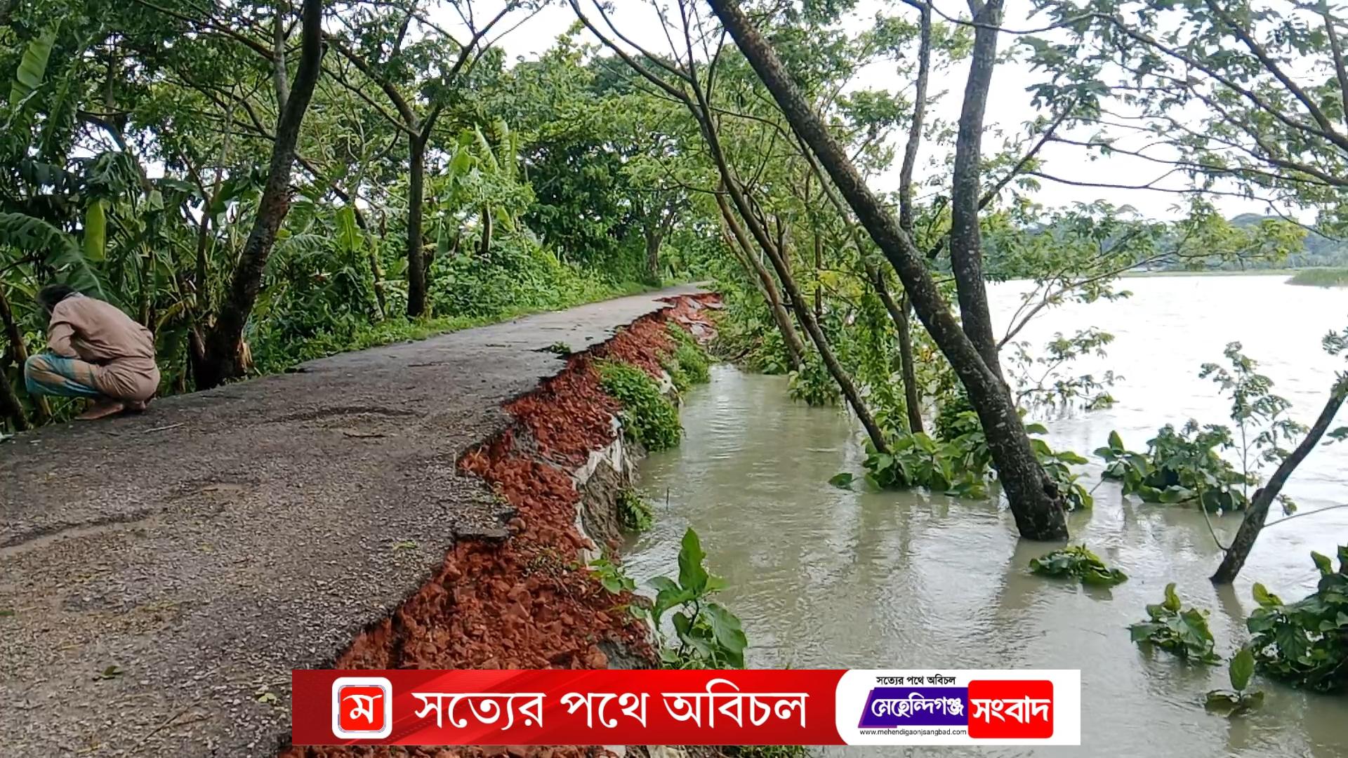 জোঁয়ার ও অতিবর্ষনে মেহেন্দিগঞ্জ উপজেলার নিম্নাঞ্চল প্লাবিত