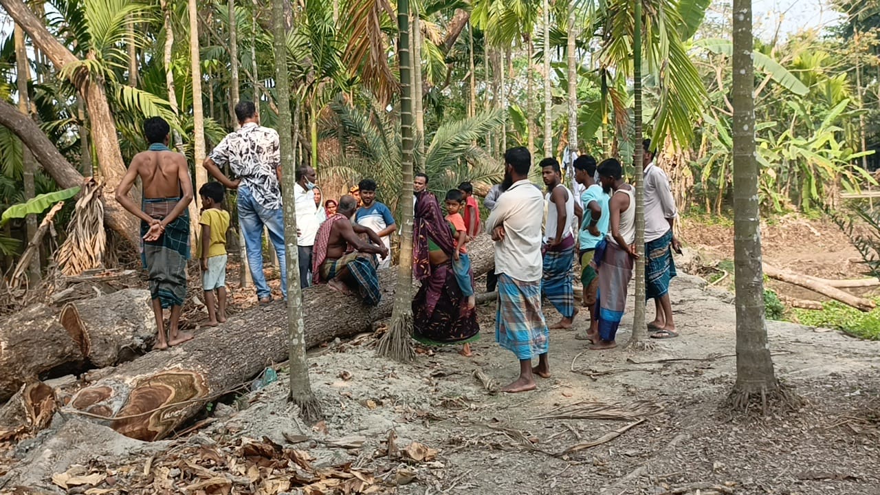 মেহেন্দিগঞ্জের চরডাইয়ার খাস জমি নিয়ে কেন মুখোমুখি দুই পরিবার!