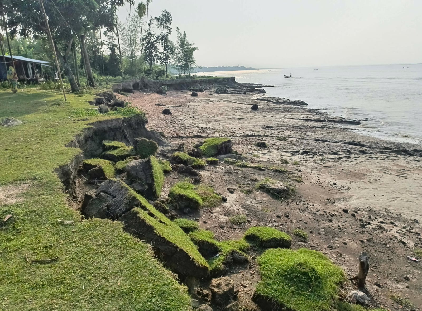 মেঘনার করাল গ্রাসে বিলীন হওয়ার শঙ্কায় উলানিয়ার ৮ গ্রাম